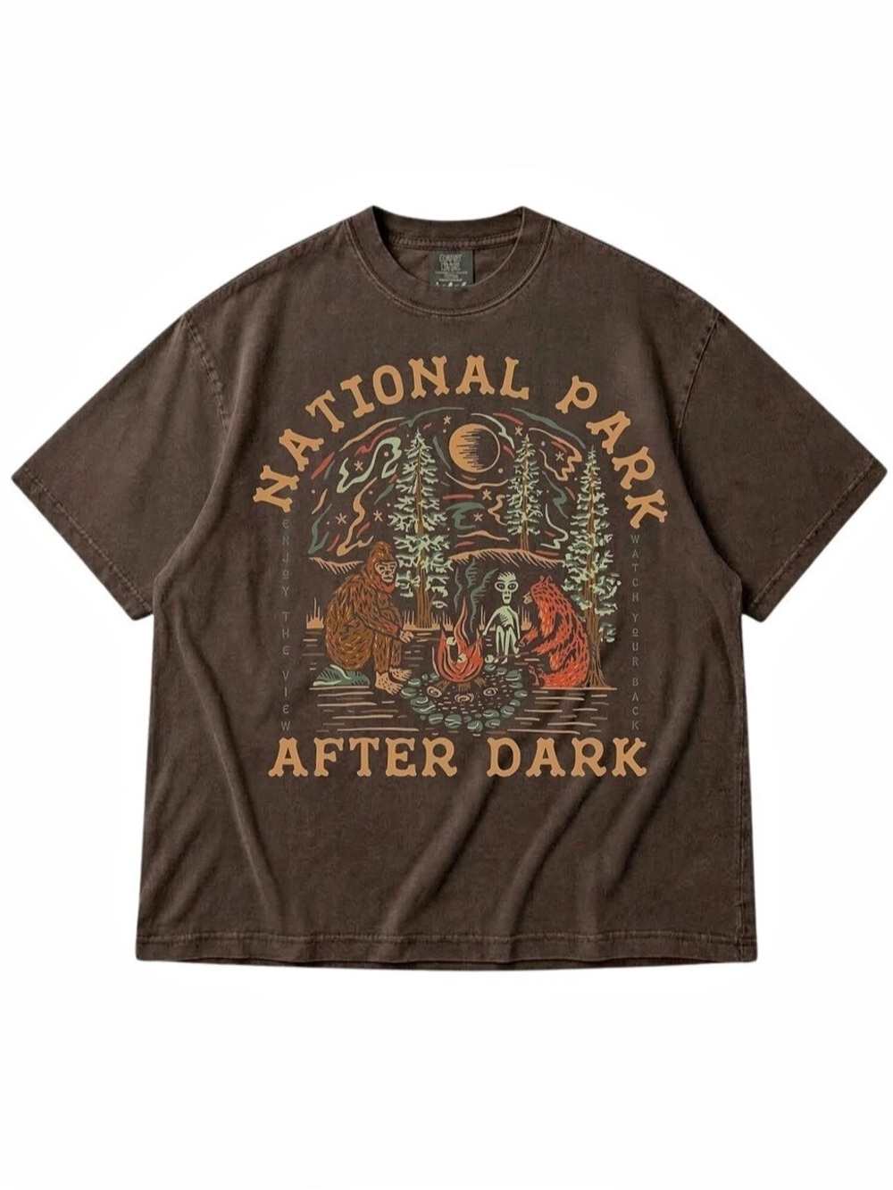Comfort Colors Espresso National Park After Dark Graphic Tee